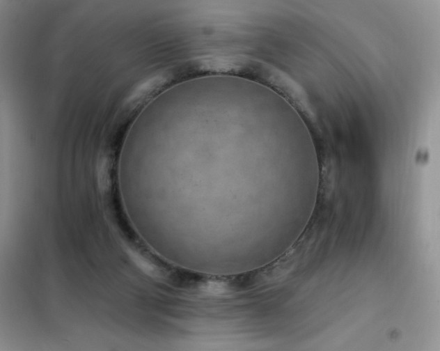 X0000102350114200808011213