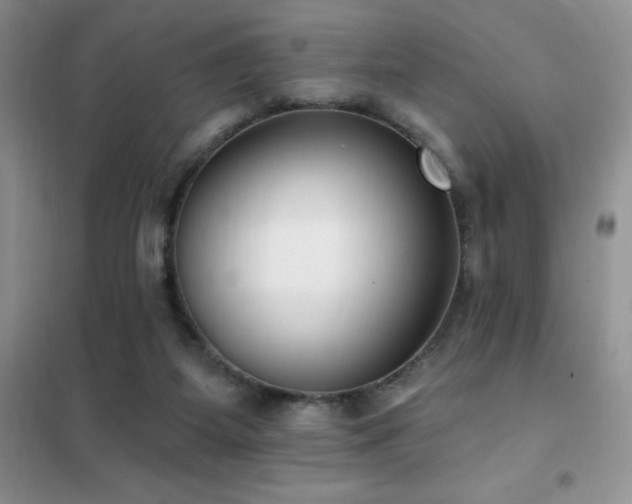 X0000102350115200808011213