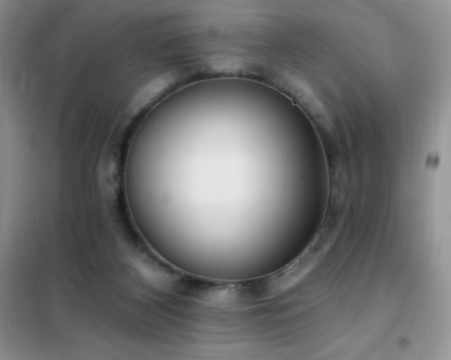 X0000102350116200808011213