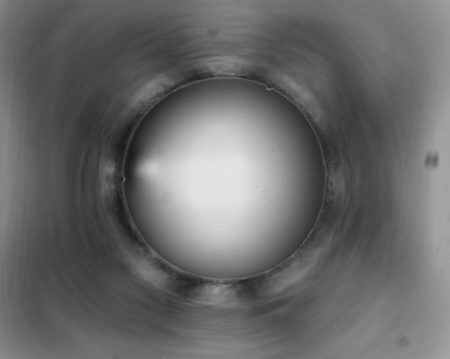 X0000102350117200808011213