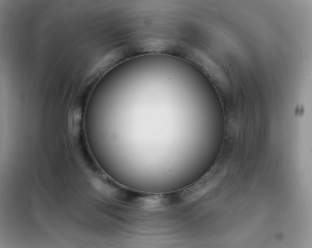 X0000102350118200808011213