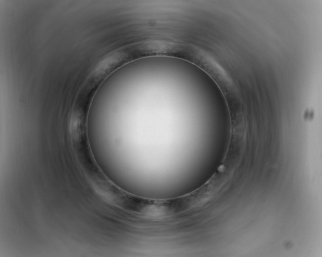 X0000102350119200808011213