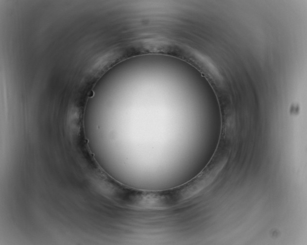 X0000102350121200808011213