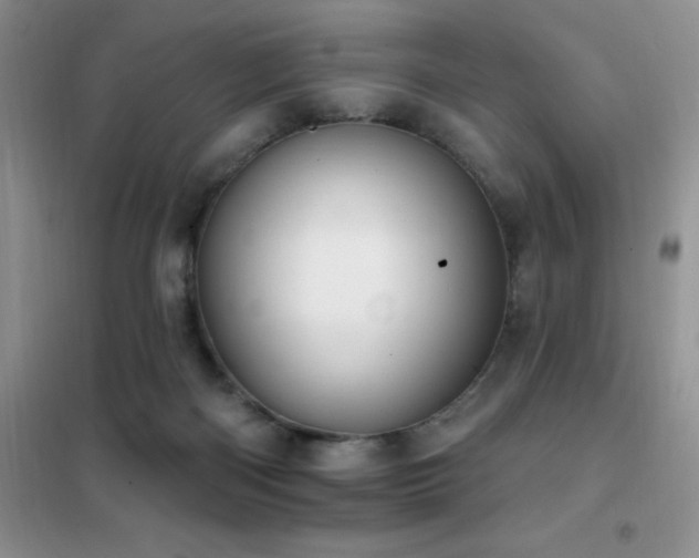 X0000102350122200808011213