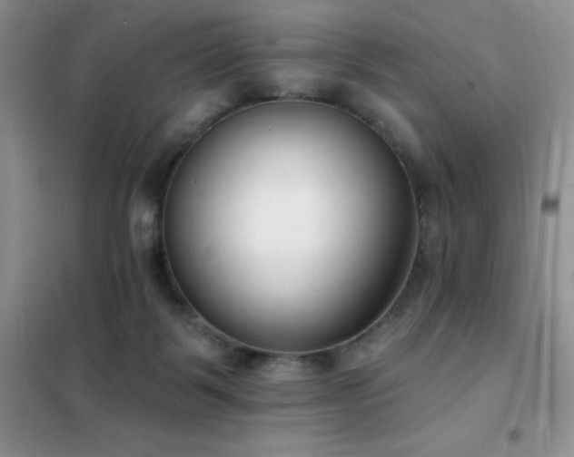 X0000102350123200808011213