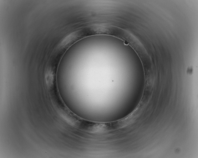 X0000102350124200808011213