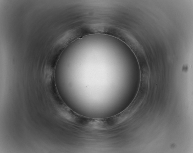 X0000102350125200808011213