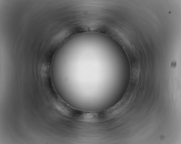 X0000102350126200808011213