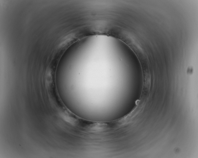 X0000102350128200808011213