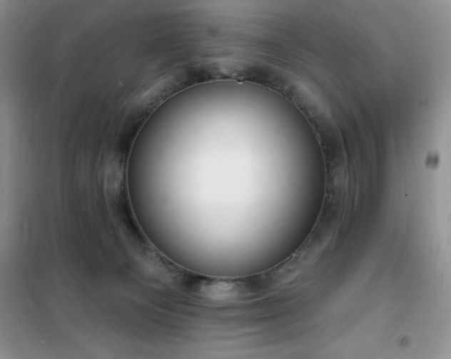 X0000102350129200808011213