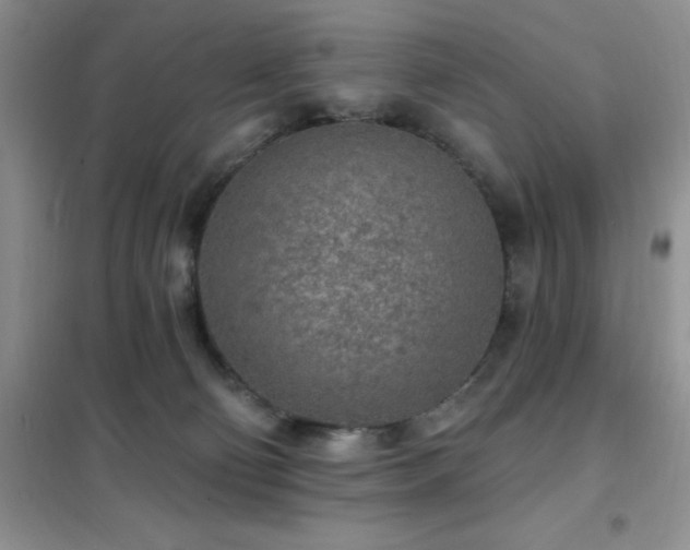 X0000102350130200808011213