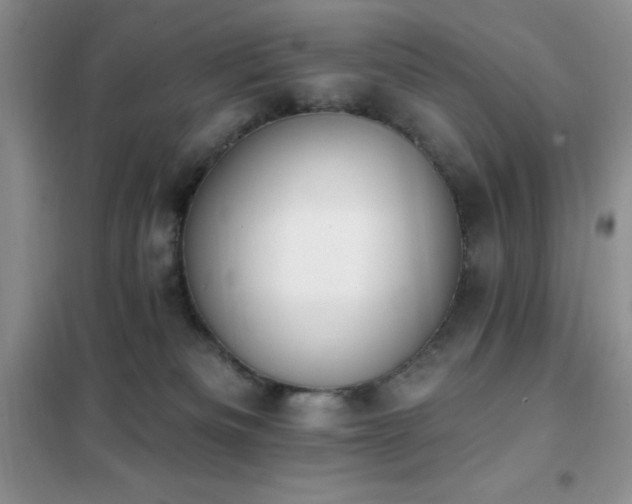 X0000102350133200808011212