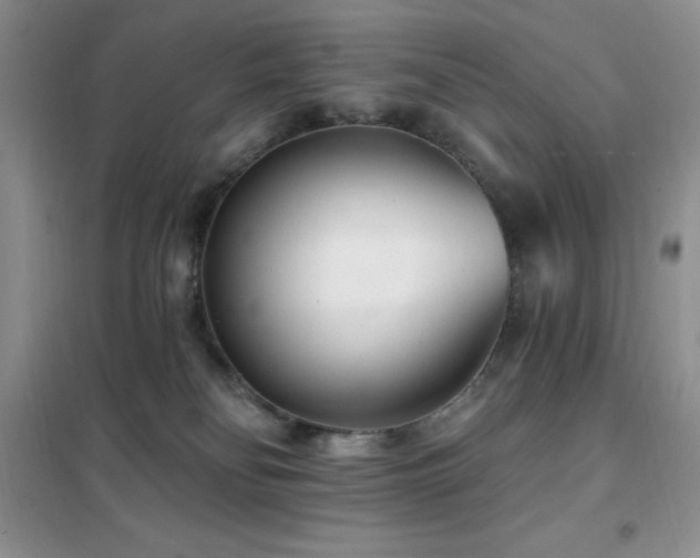 X0000102350134200808011212