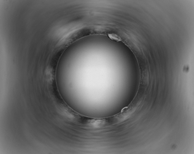 X0000102350135200808011212