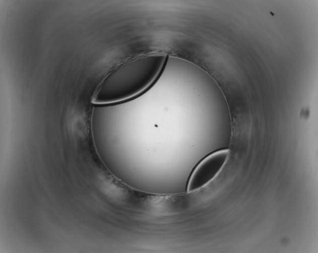 X0000102350136200808011212