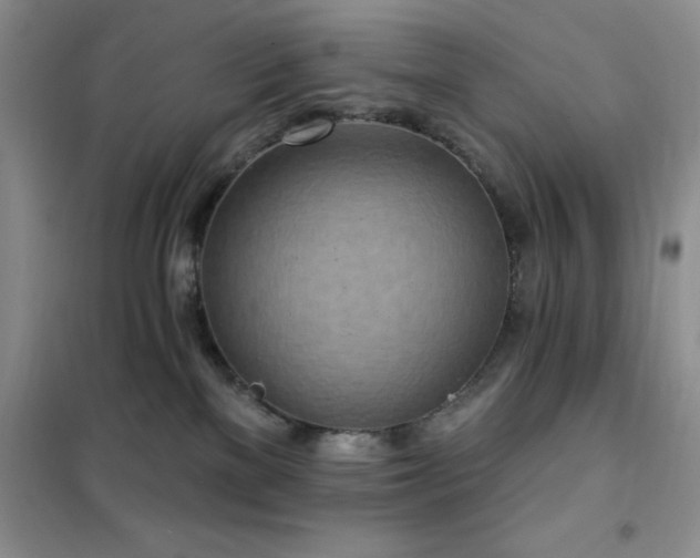 X0000102350137200808011212