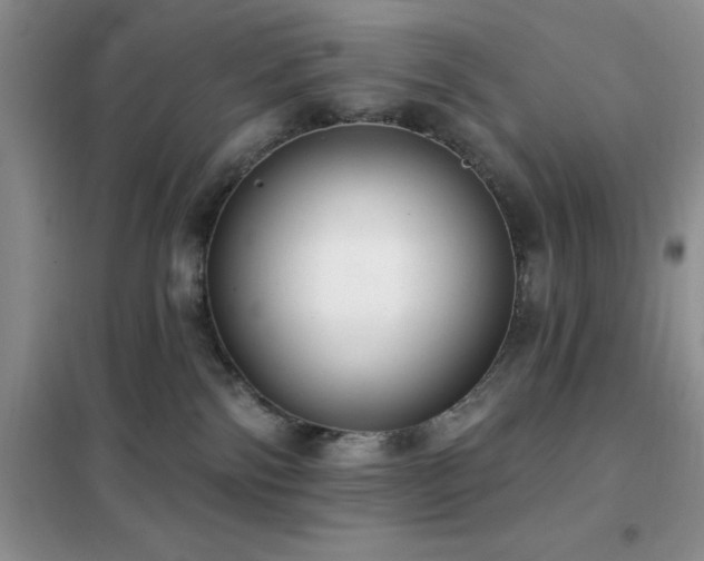 X0000102350138200808011212