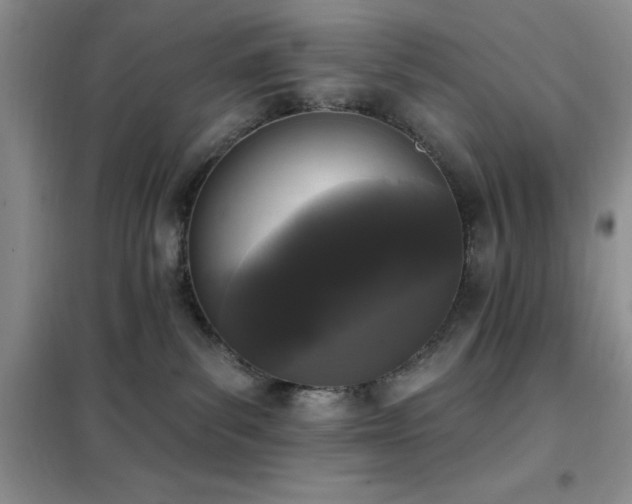 X0000102350139200808011212