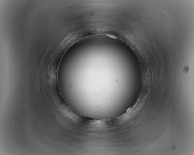 X0000102350140200808011212