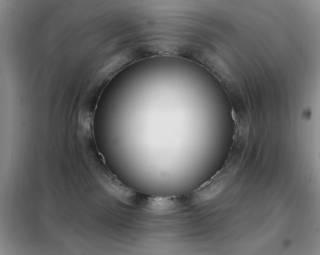 X0000102350141200808011212