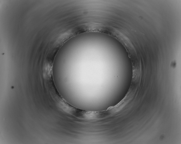 X0000102350142200808011212