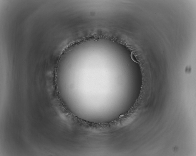 X0000102350144200808011212