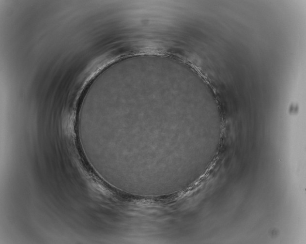 X0000102350146200808011212