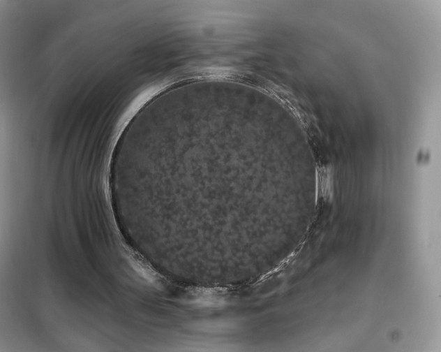 X0000102350147200808011212