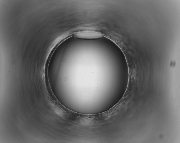 X0000102350148200808011212