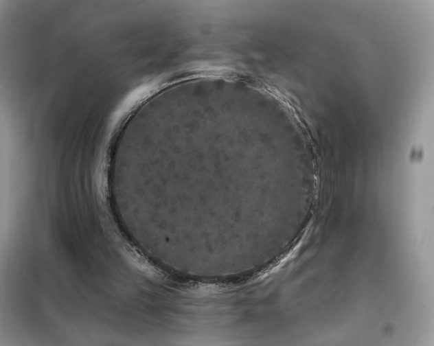 X0000102350149200808011212