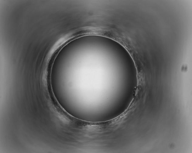 X0000102350150200808011212