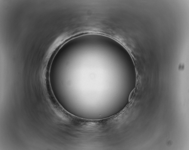 X0000102350151200808011212