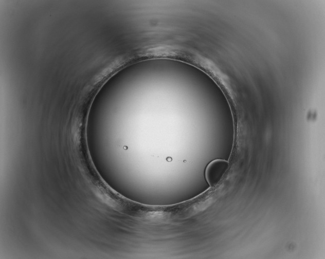 X0000102350153200808011212