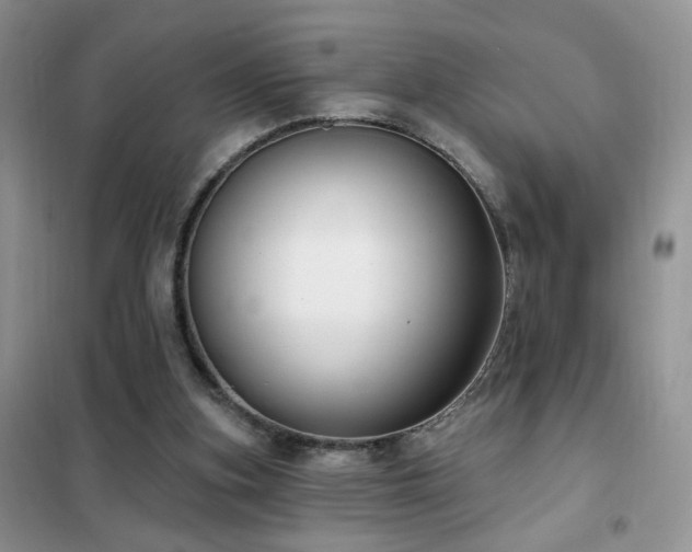 X0000102350155200808011212