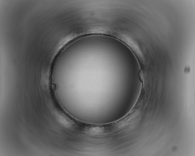 X0000102350156200808011212