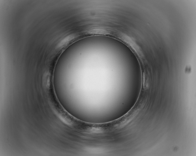 X0000102350157200808011212