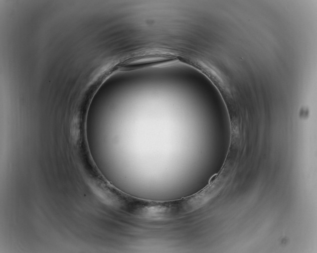 X0000102350158200808011212