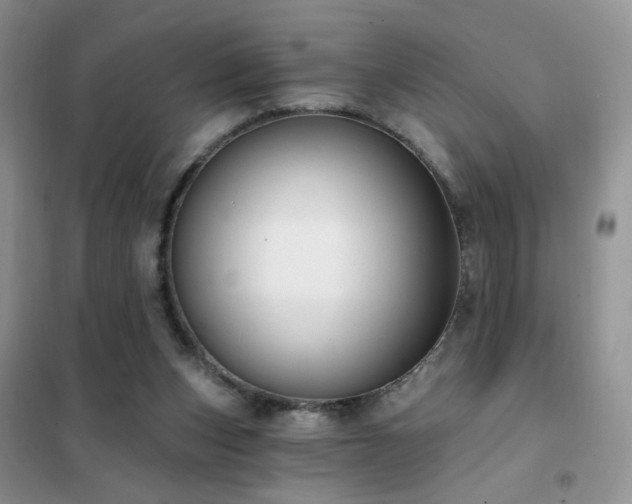 X0000102350159200808011212