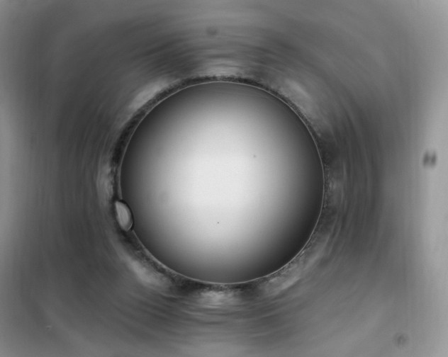 X0000102350160200808011212