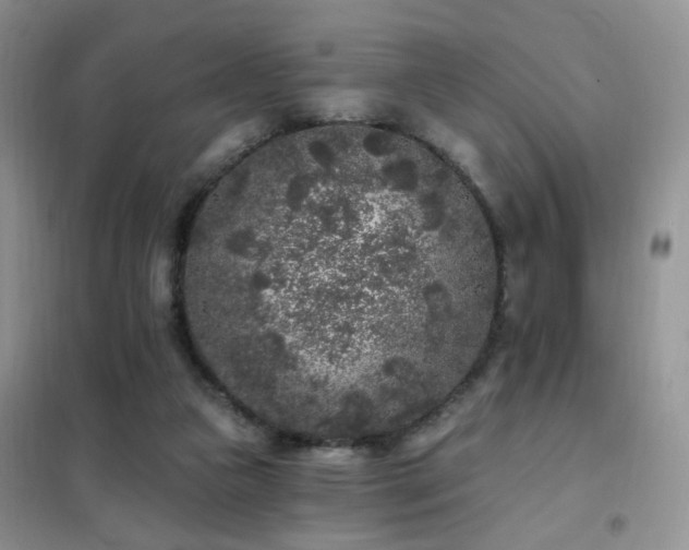 X0000102350161200808011212