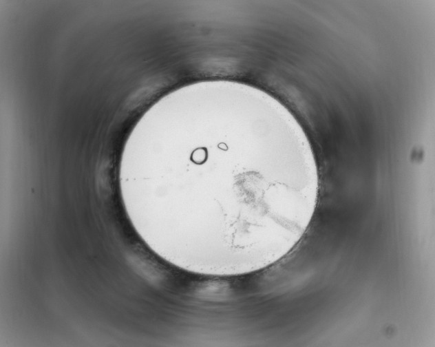 X0000102350162200808011212