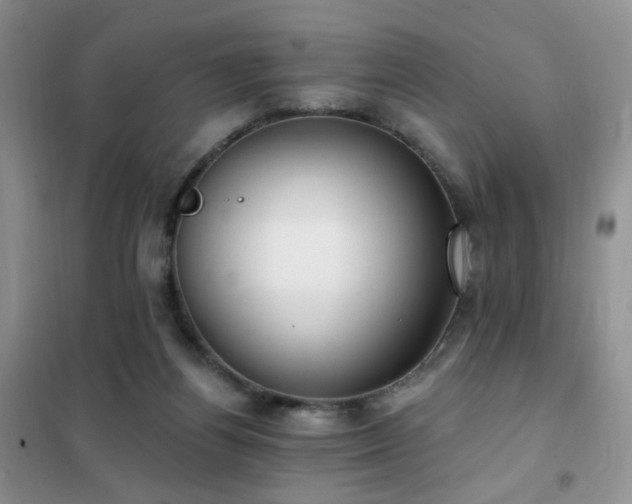 X0000102350164200808011212