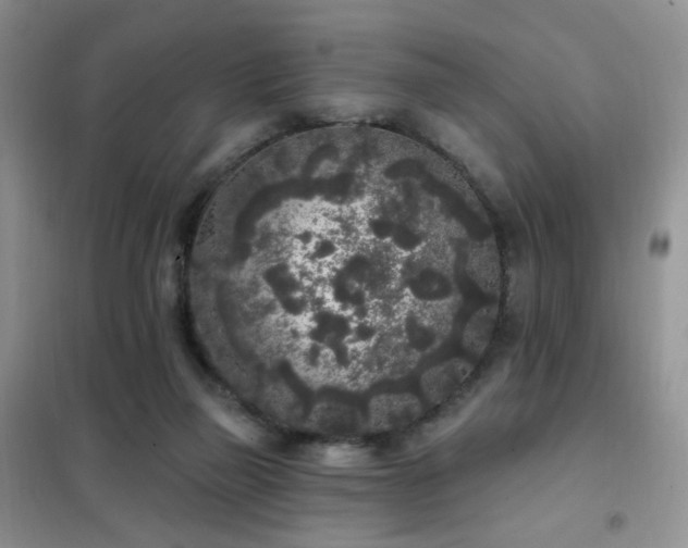 X0000102350165200808011212