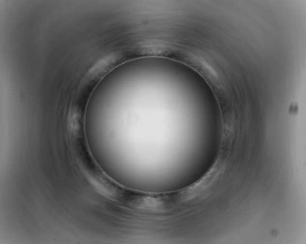 X0000102350166200808011212