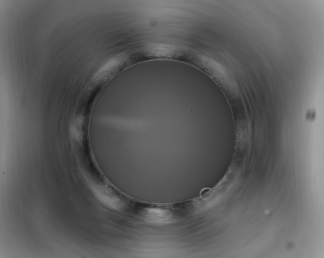 X0000102350167200808011212