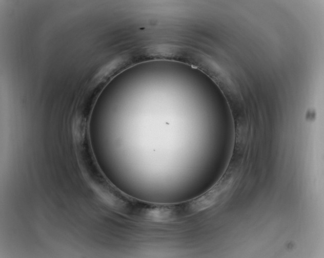 X0000102350168200808011212