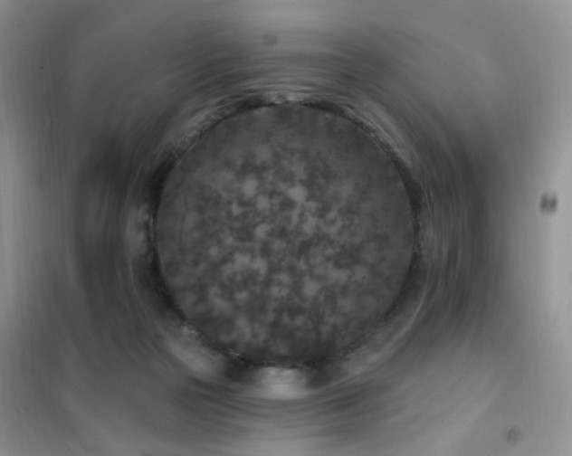 X0000102350169200808011212