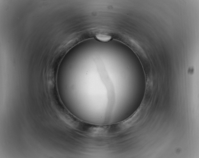 X0000102350170200808011212