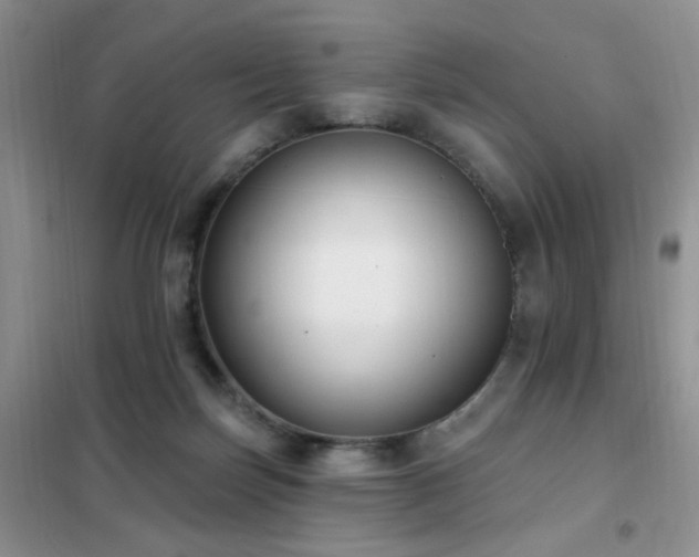 X0000102350171200808011212