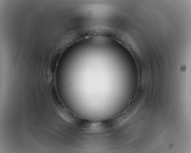 X0000102350173200808011212